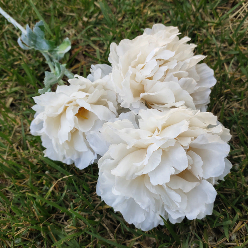 P0050 Three peonies and peonies
