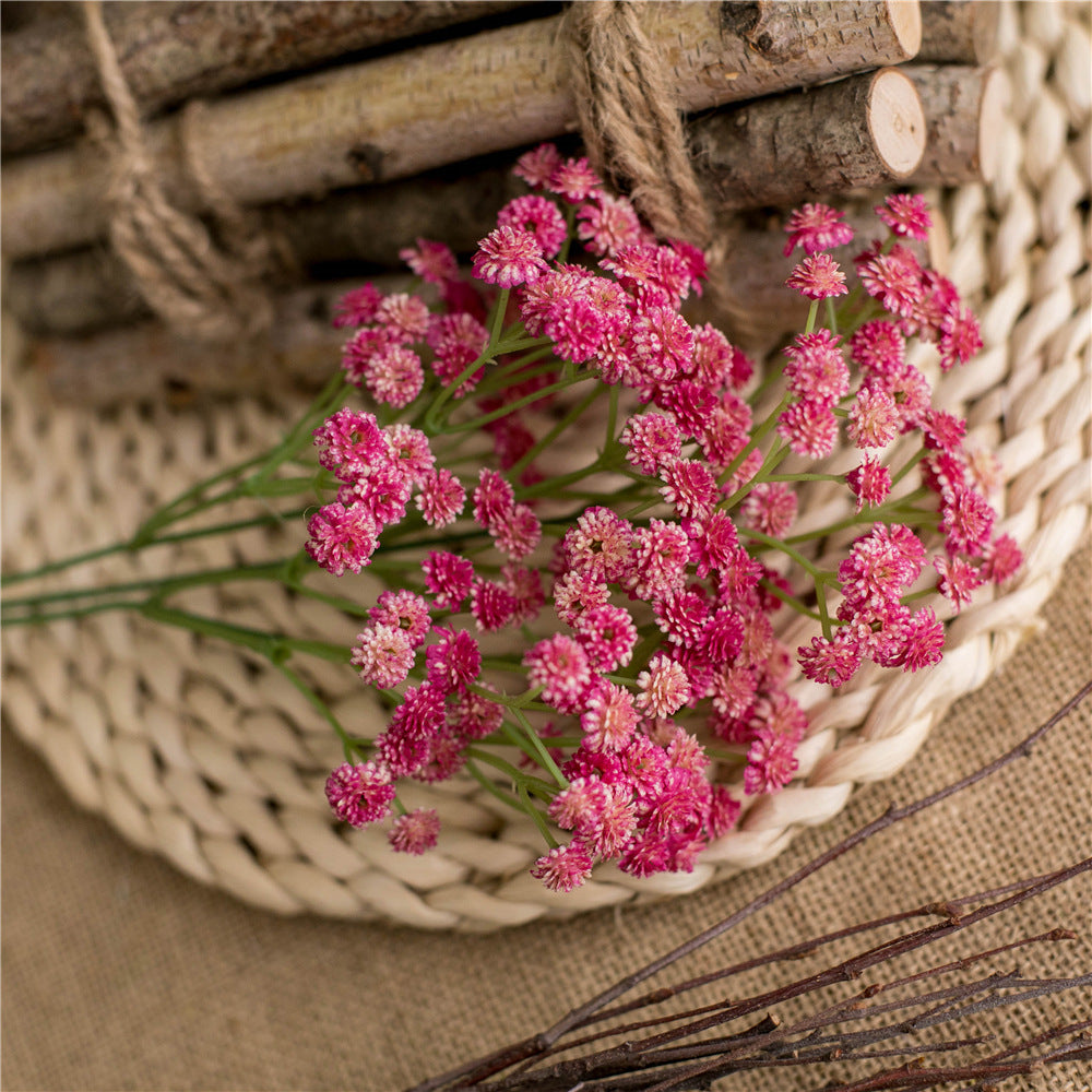 babysbreath013