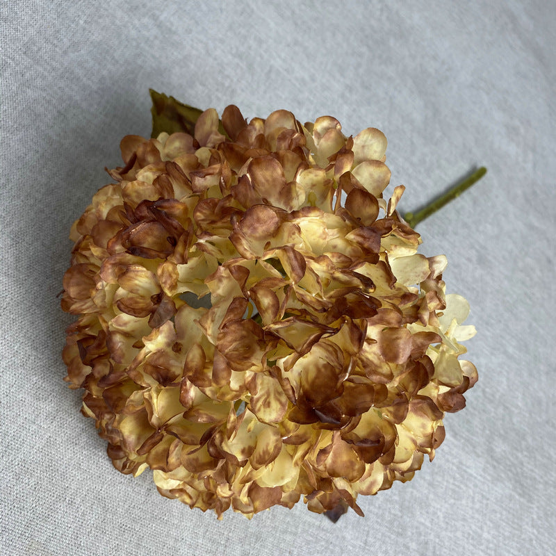 H0043 Hydrangea