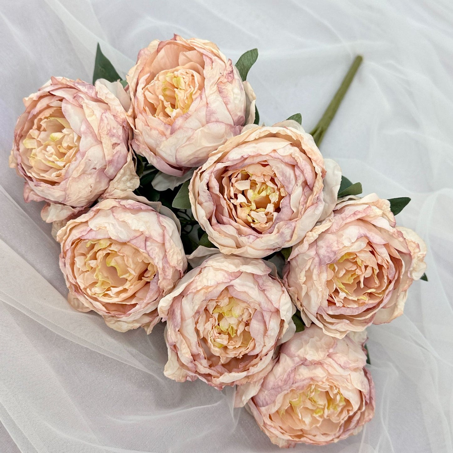 P0017 Seven-Headed Burnt Edge Peony ins Nordic Peony