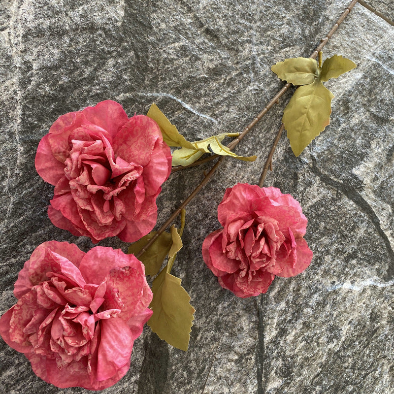 P0040 Grilled edge glazed peony