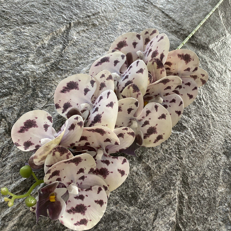 O0005 Nine-headed 3D Phalaenopsis
