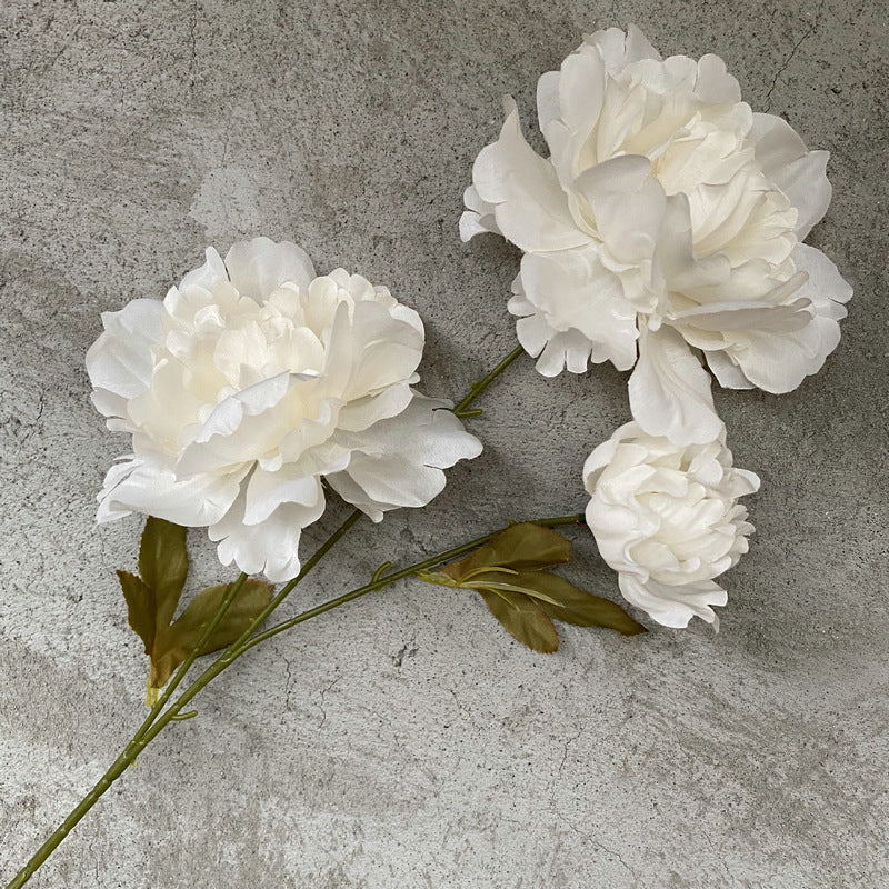 P0016 Kazino Peony