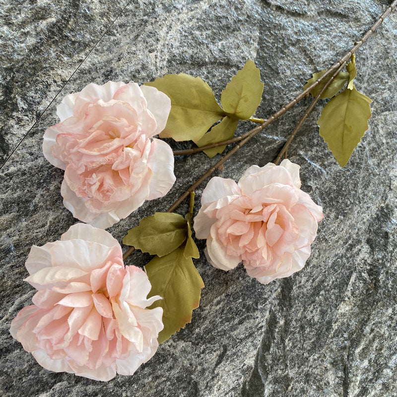P0040 Grilled edge glazed peony
