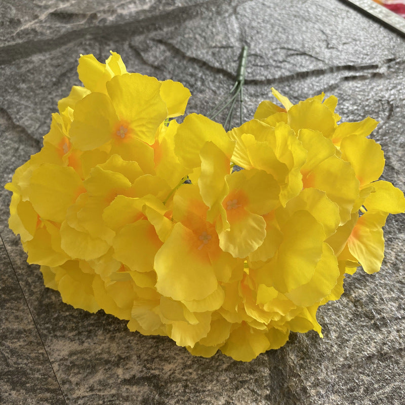 H0002 Hydrangea