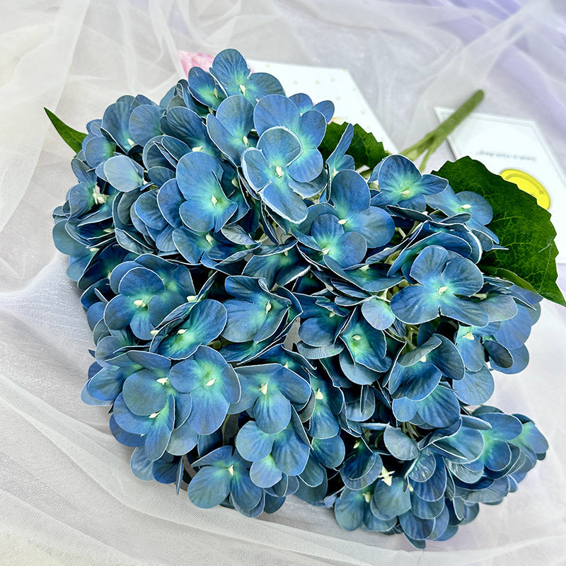 H0015 Hydrangea