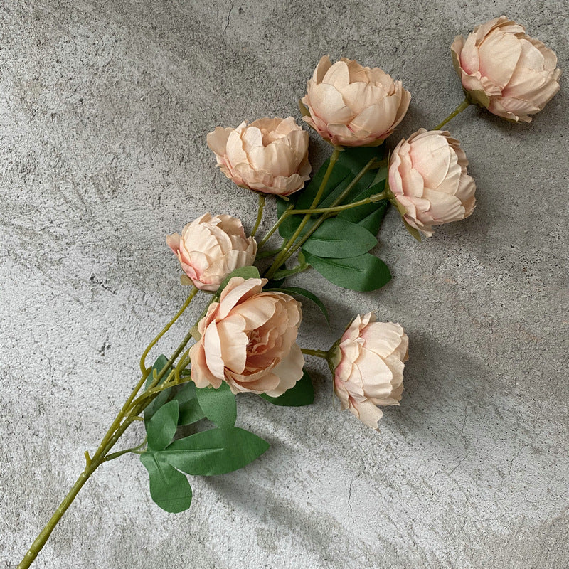 P0018 Seven-headed Peony