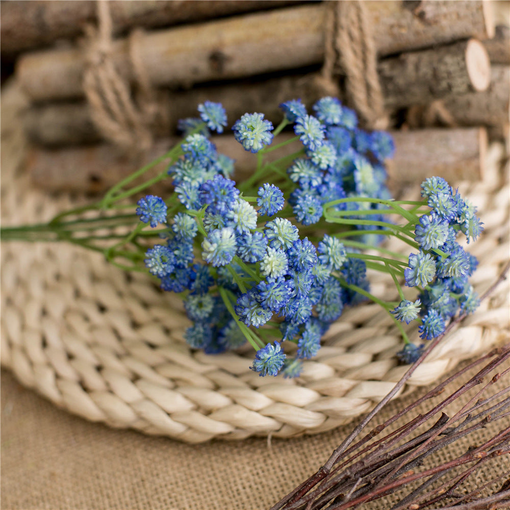 babysbreath013