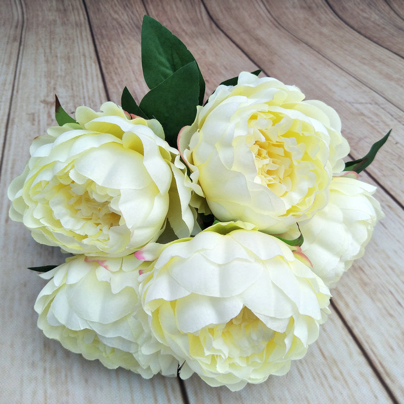 P0041 European five-headed round peony