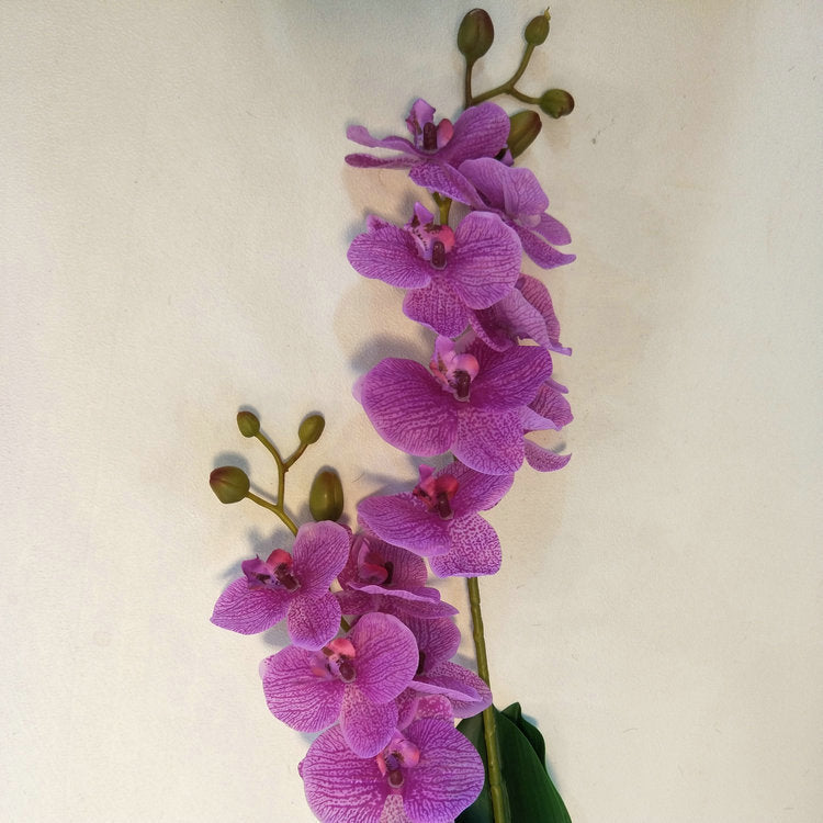 O0012 Film two-pronged simulated small Phalaenopsis with leaves