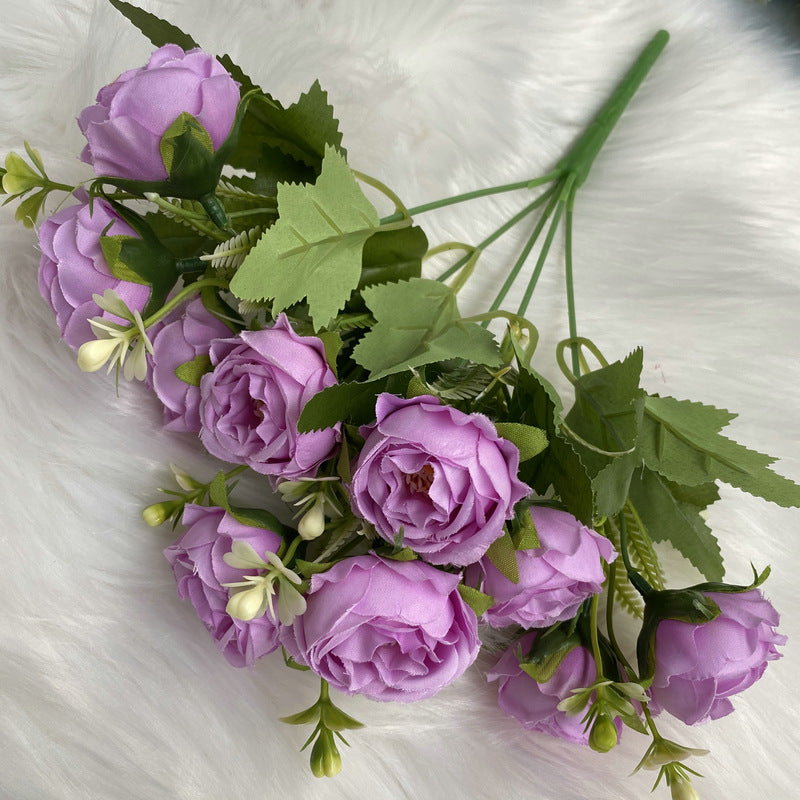 P0024 New Gypsophila Peony