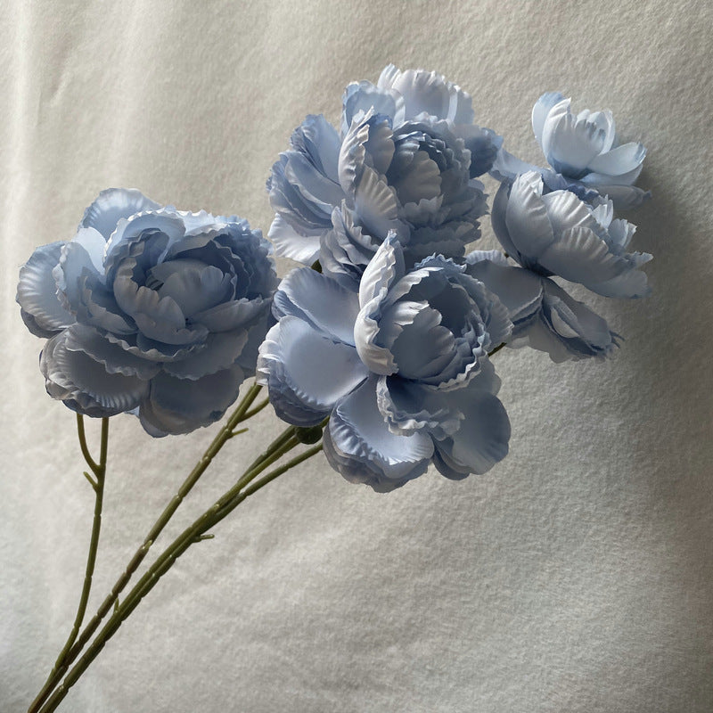 P0039 Brushed Cloth Puff Peony