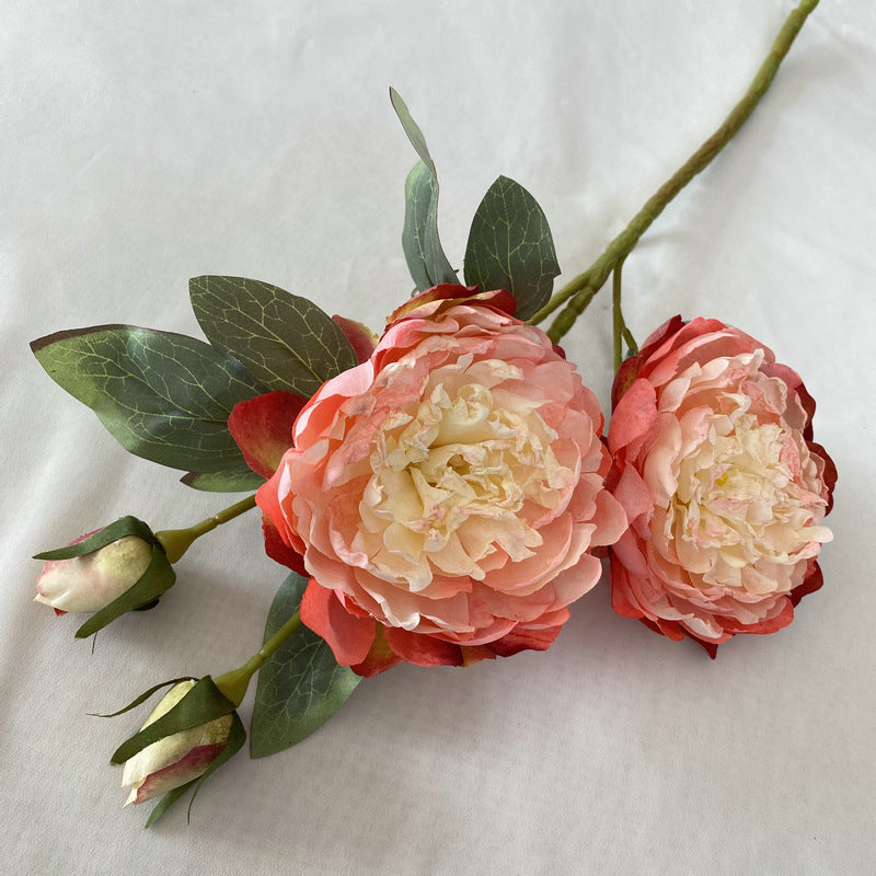 P0033 Peony