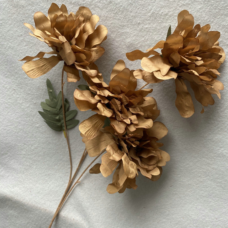 P0035 Peony