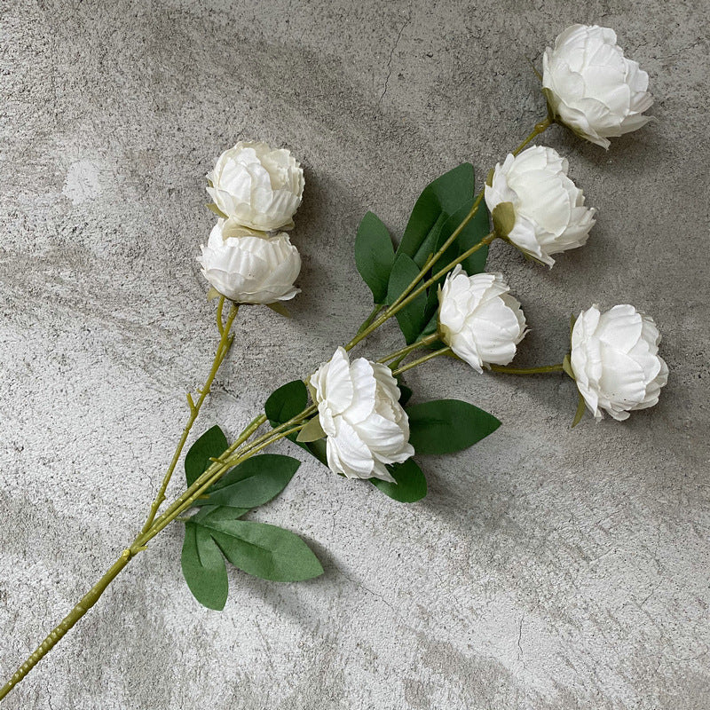 P0018 Seven-headed Peony