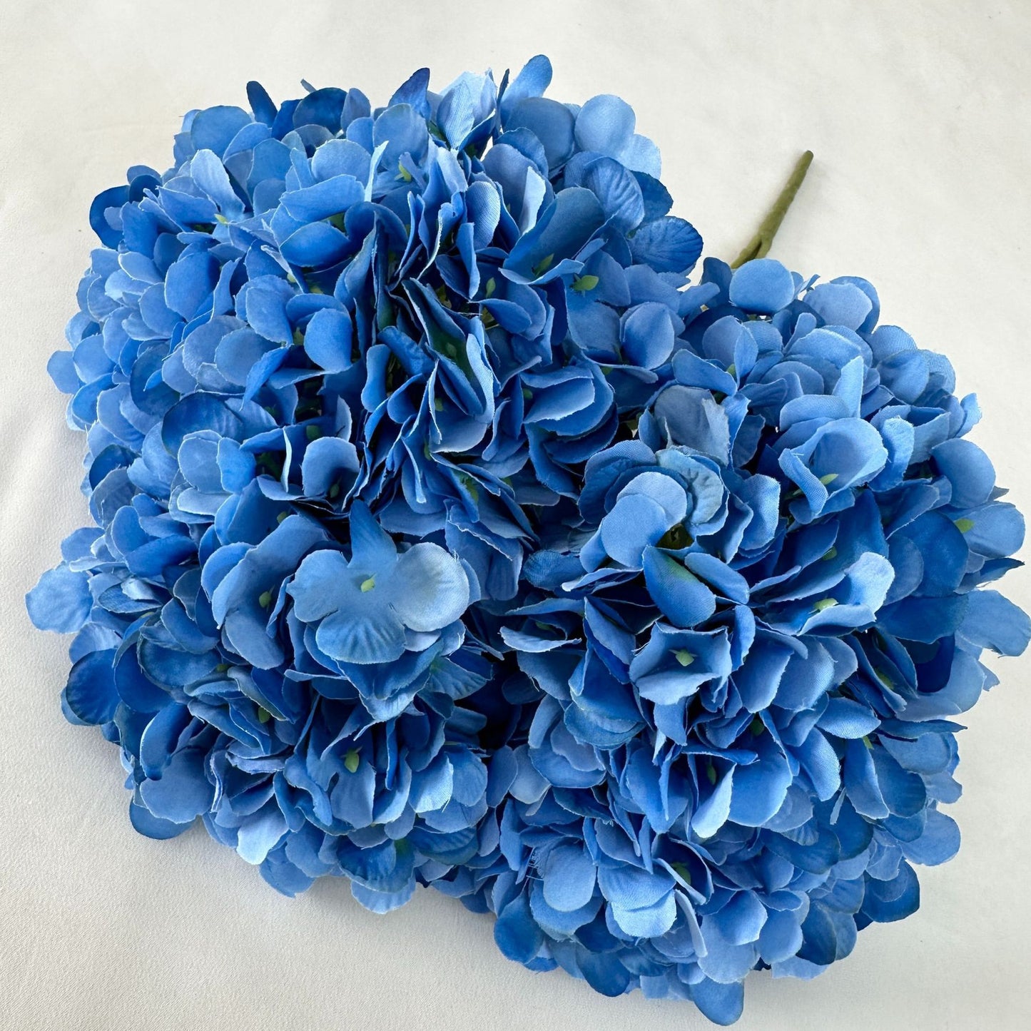 H0035 Hydrangea
