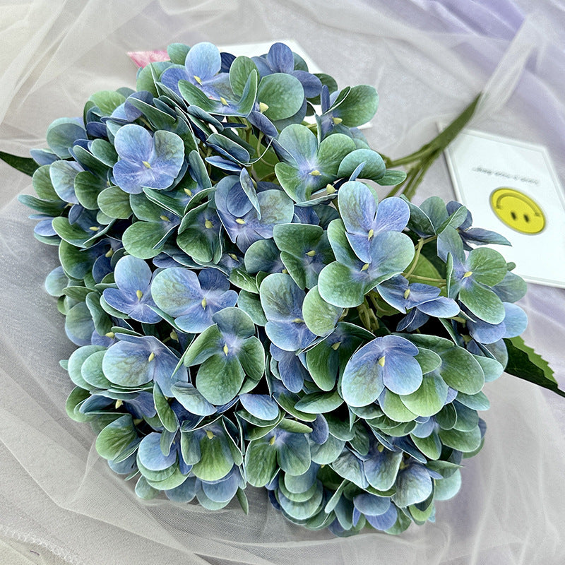H0015 Hydrangea