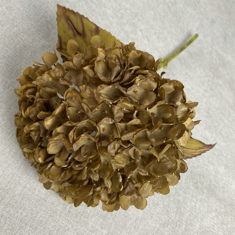 H0043 Hydrangea