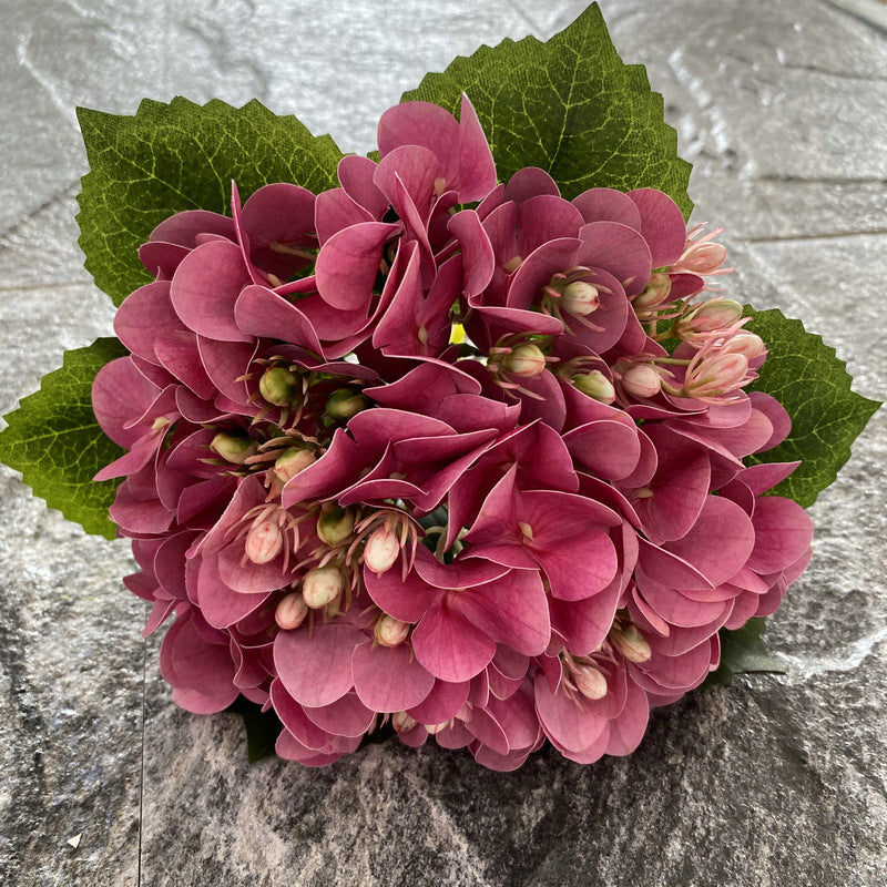 H0044 Hydrangea