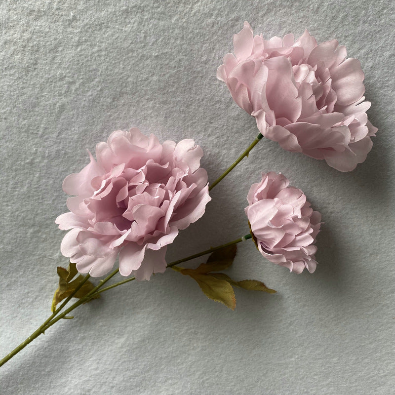 P0016 Kazino Peony
