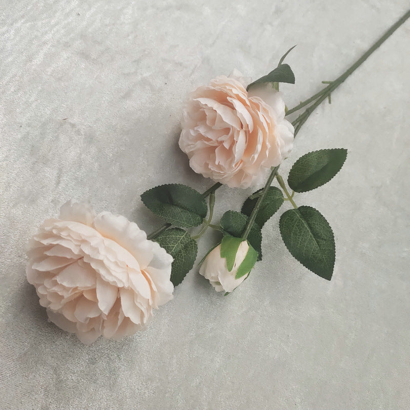 P0023 Three-headed peony