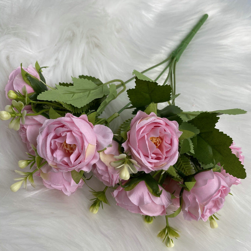 P0024 New Gypsophila Peony