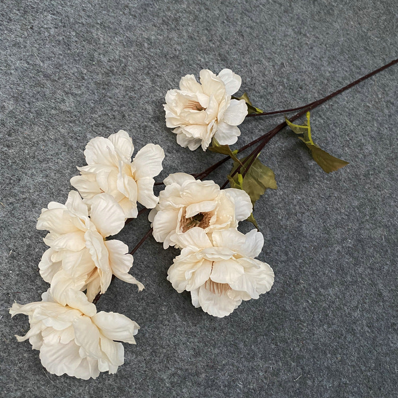 P0022 Six-headed Peony with Hundred Antlers
