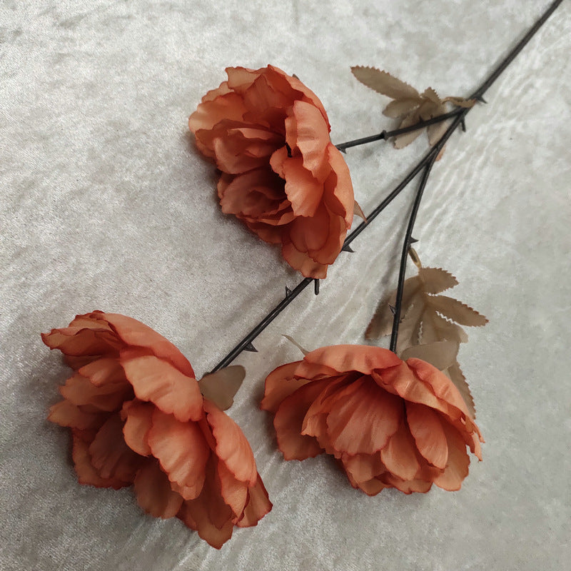 P0020 European style three-headed peony
