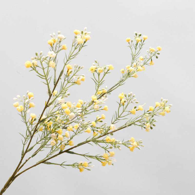 babysbreath016