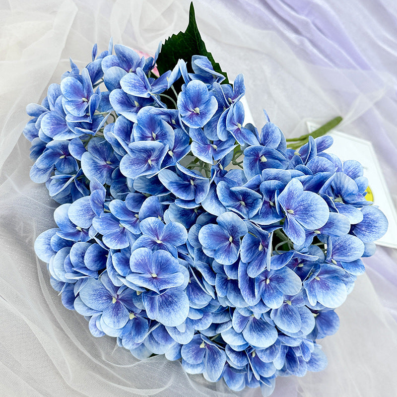 H0015 Hydrangea