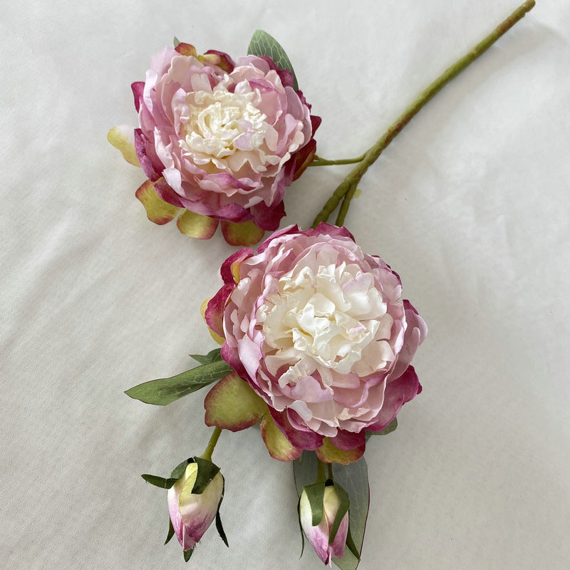 P0033 Peony