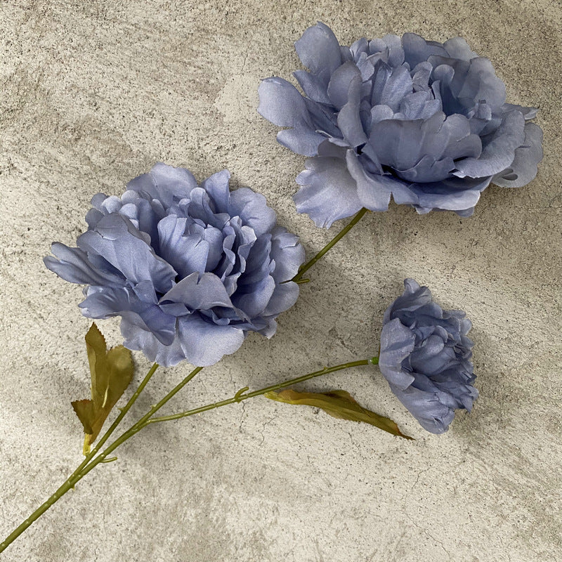 P0016 Kazino Peony