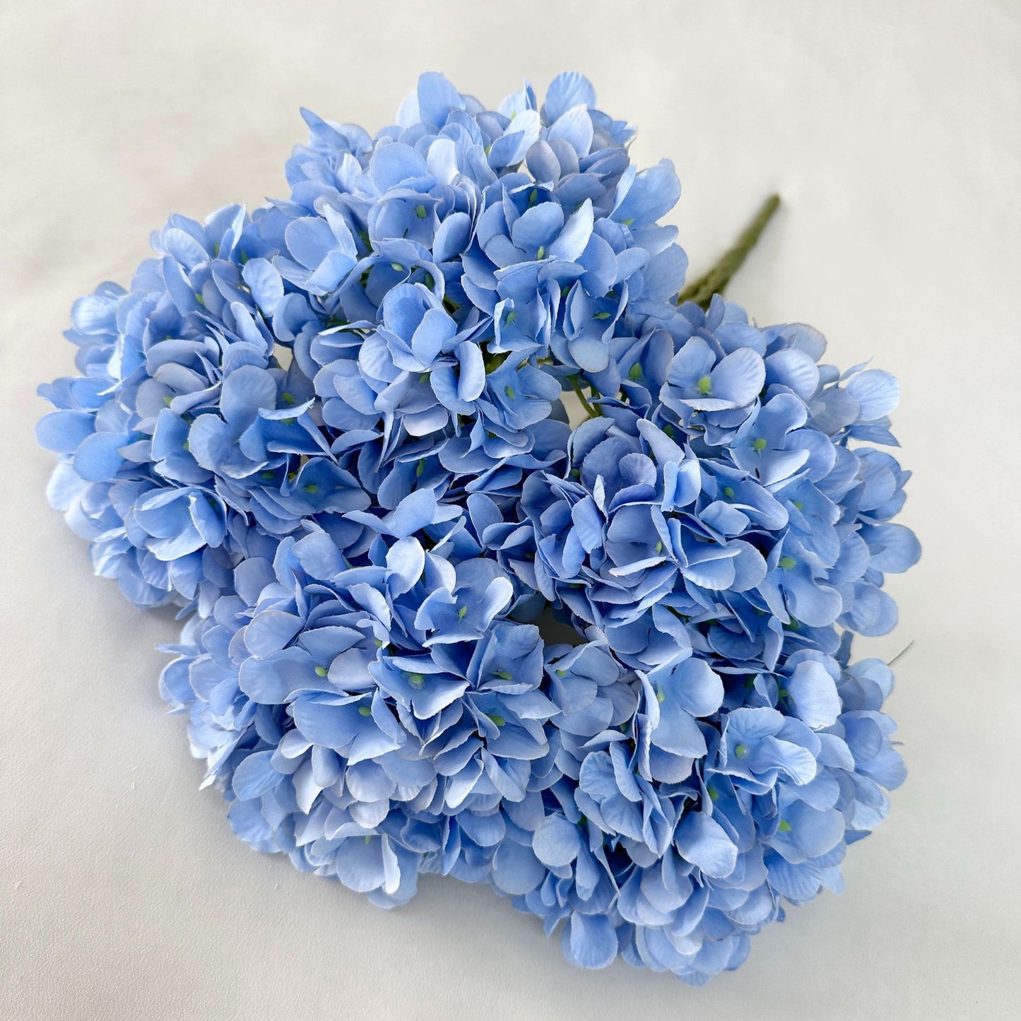 H0035 Hydrangea