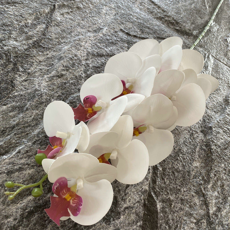 O0005 Nine-headed 3D Phalaenopsis