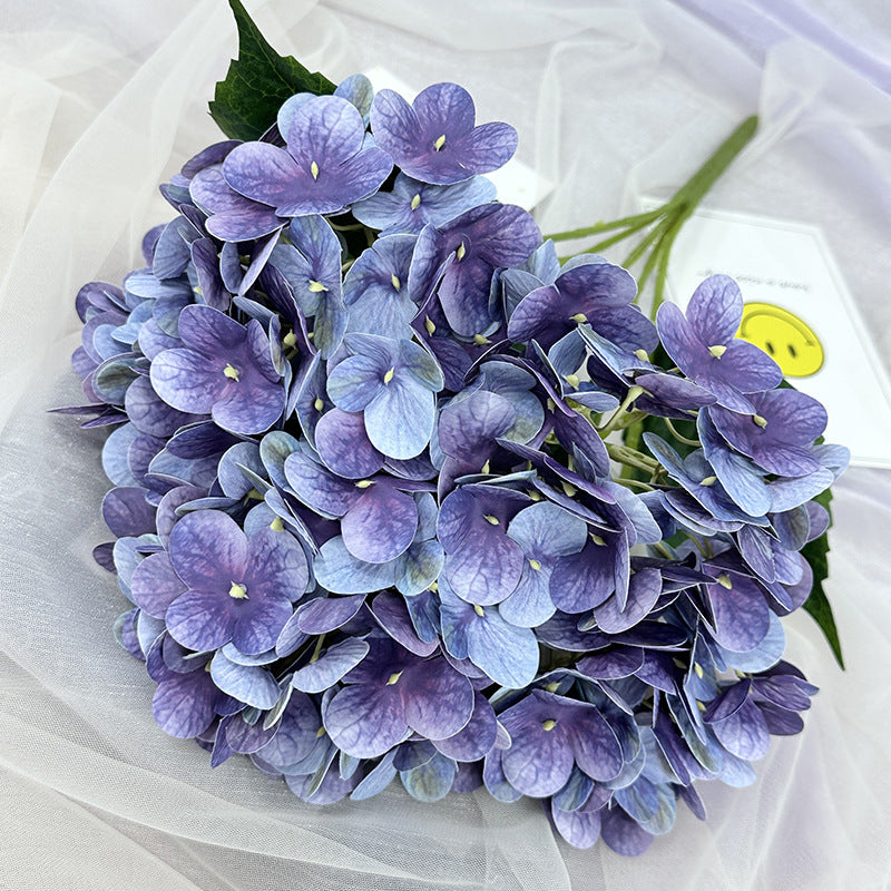 H0015 Hydrangea
