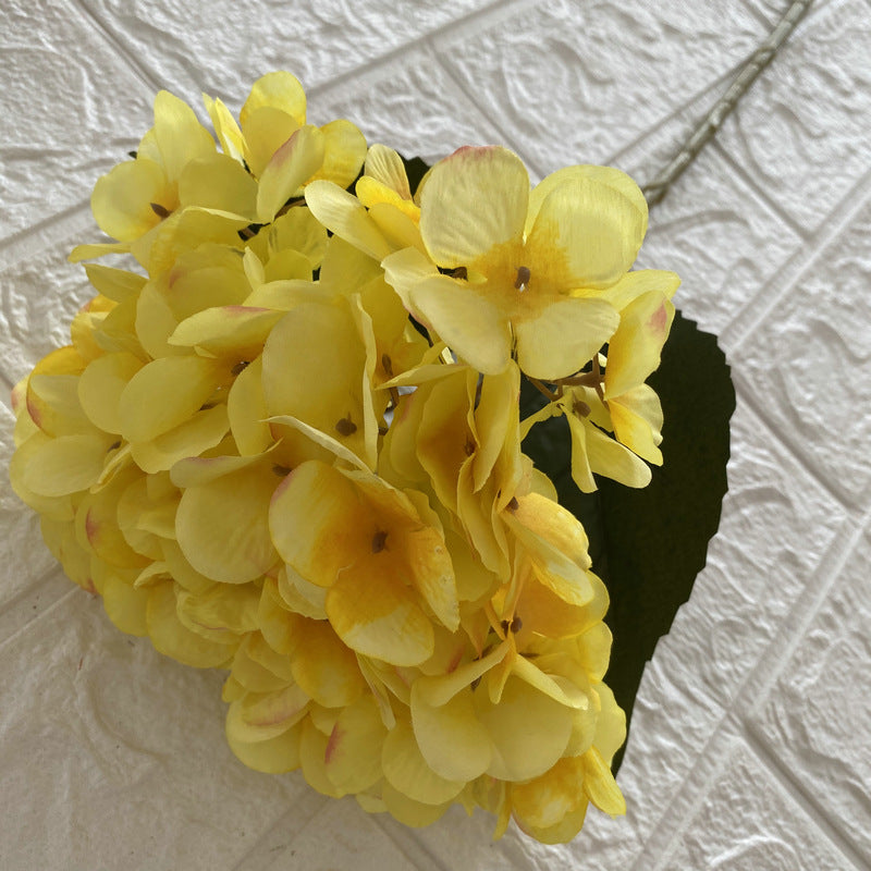 H0038 Hydrangea