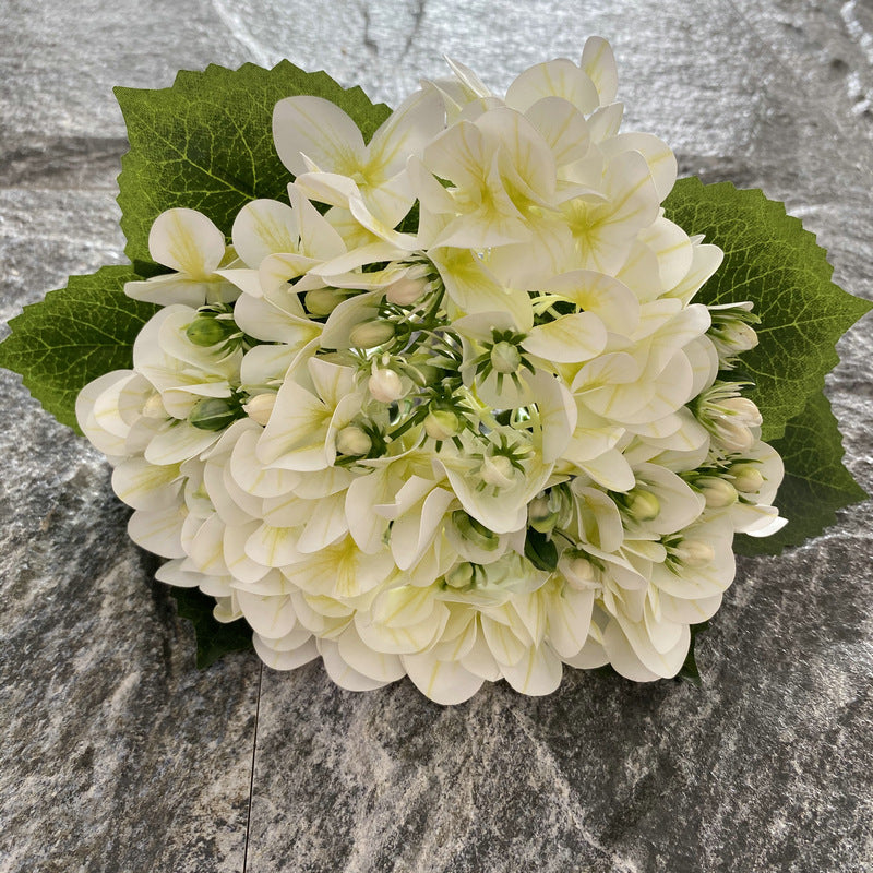 H0044 Hydrangea