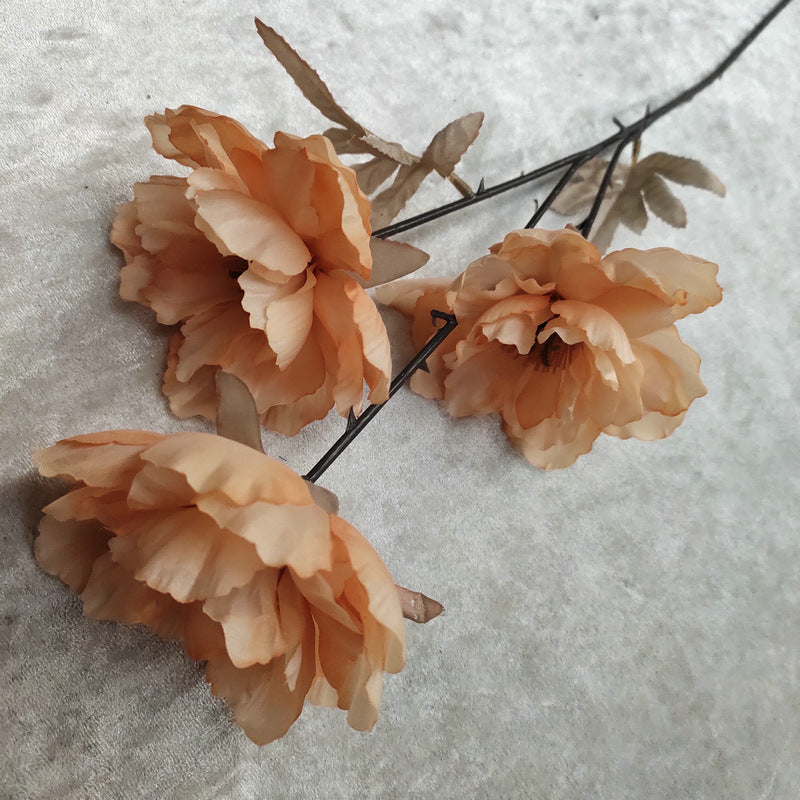 P0020 European style three-headed peony