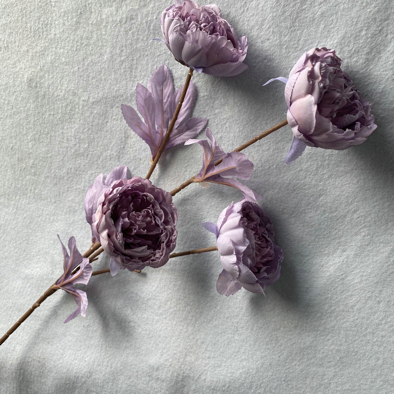 P0037 Four-headed Imperial Peony