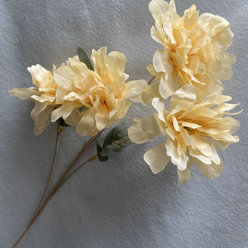 P0035 Peony