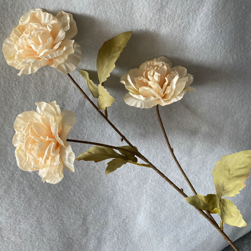 P0040 Grilled edge glazed peony