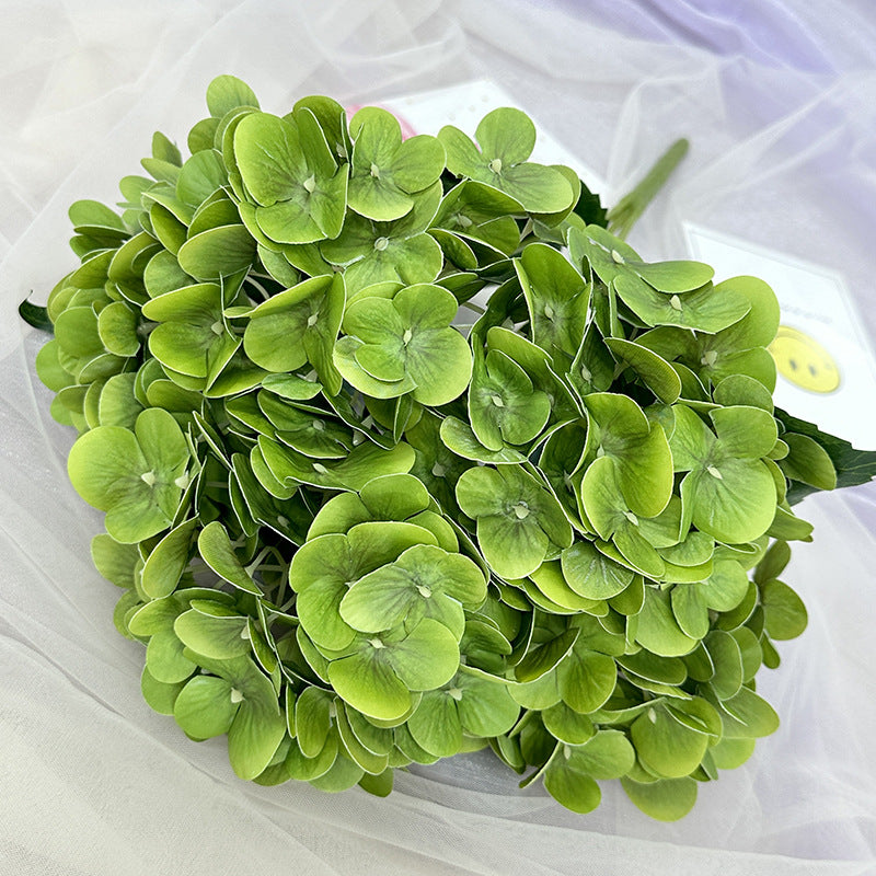 H0015 Hydrangea
