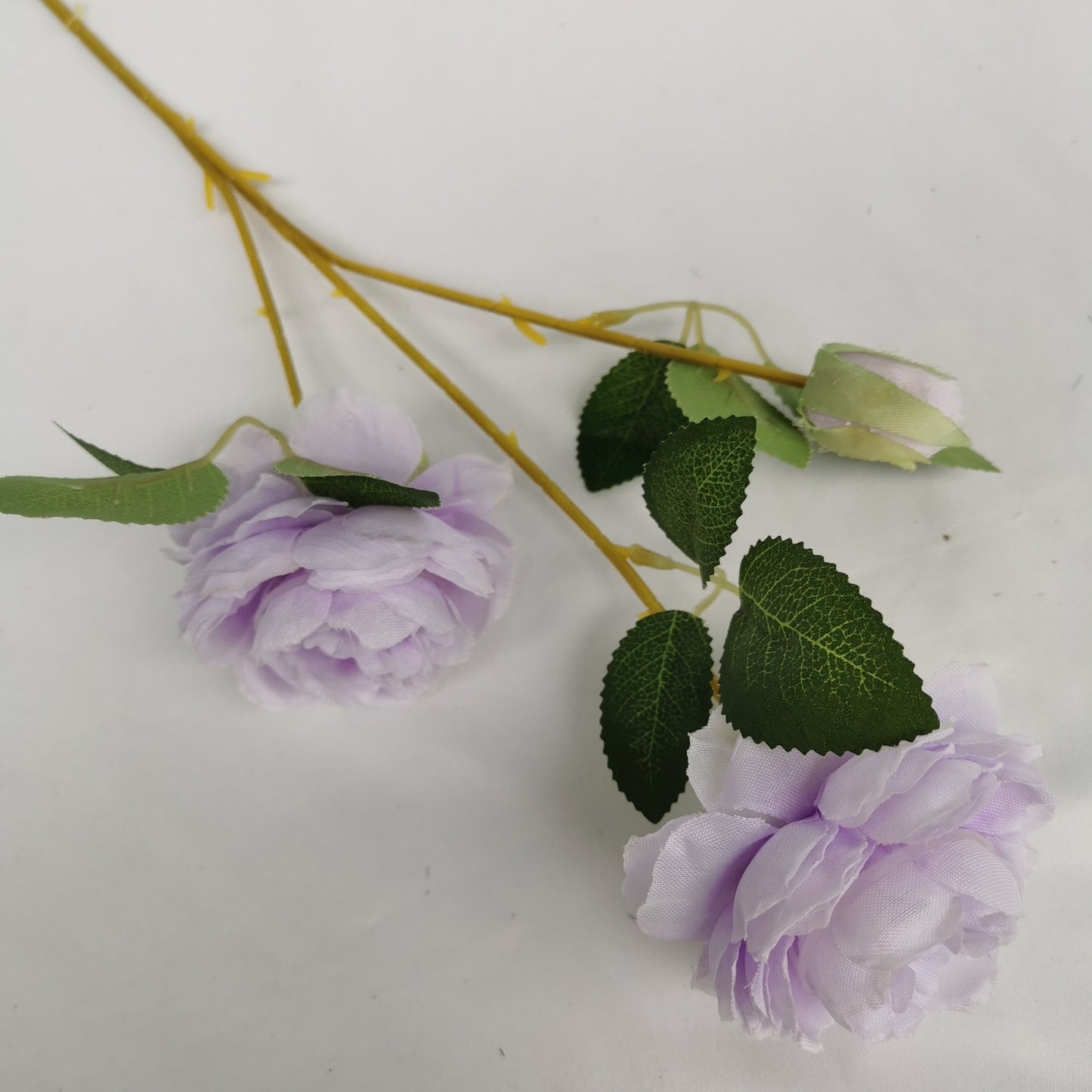P0023 Three-headed peony