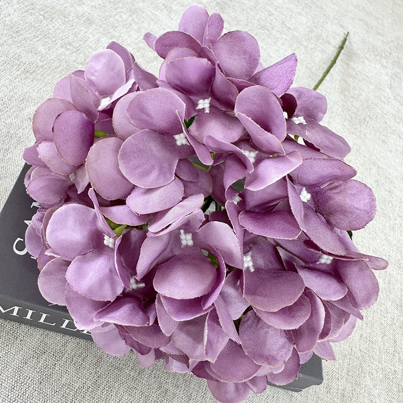 H0050 Hydrangea