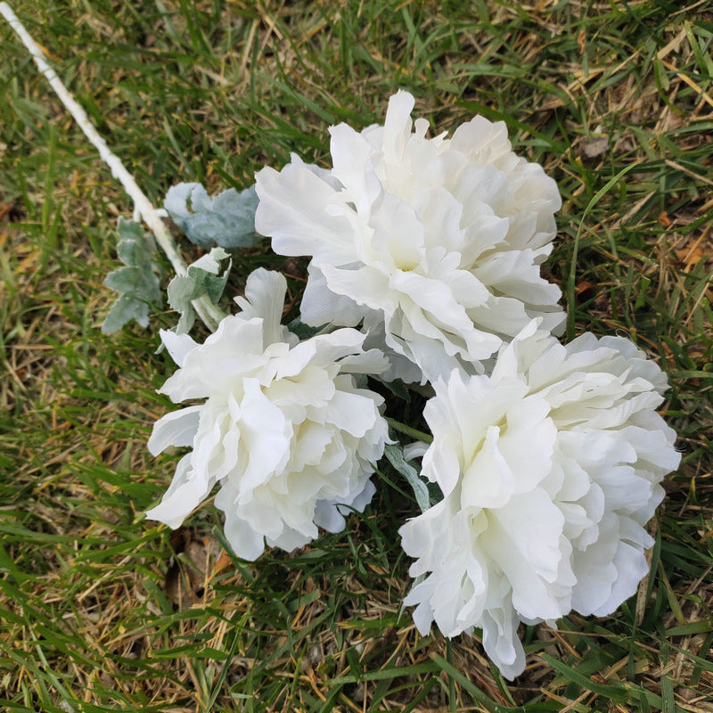 P0050 Three peonies and peonies