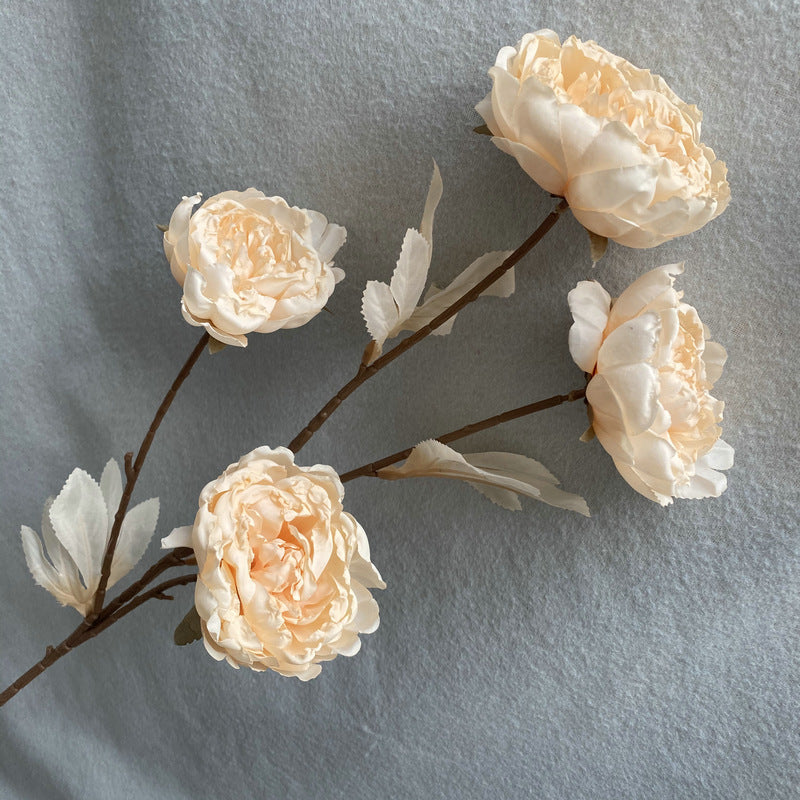 P0037 Four-headed Imperial Peony