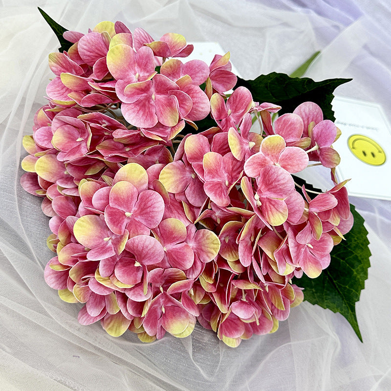 H0015 Hydrangea