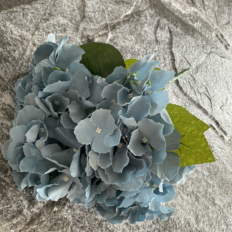 H0024 Hydrangea