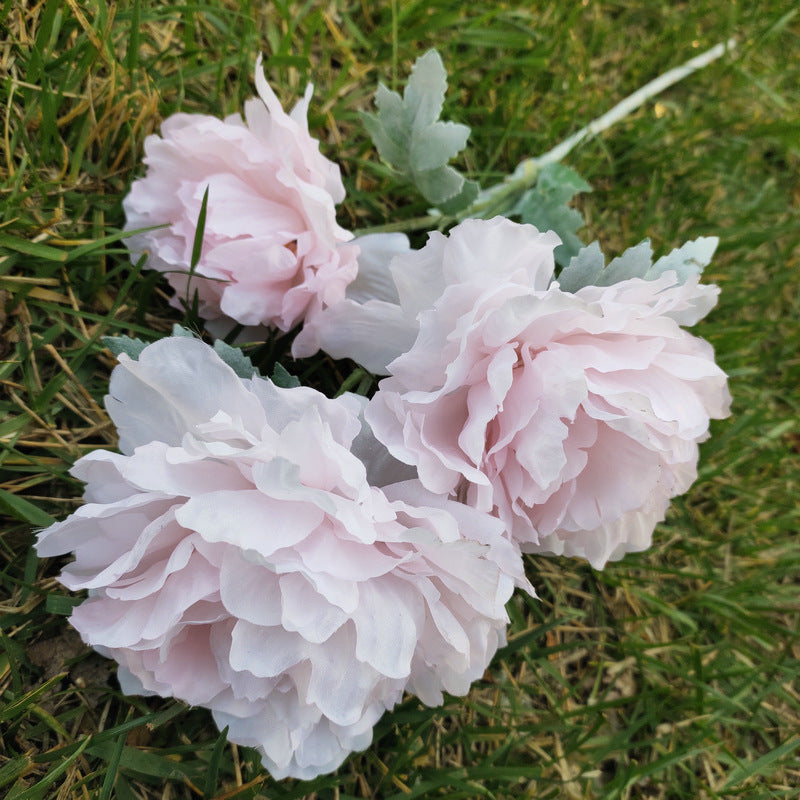 P0050 Three peonies and peonies