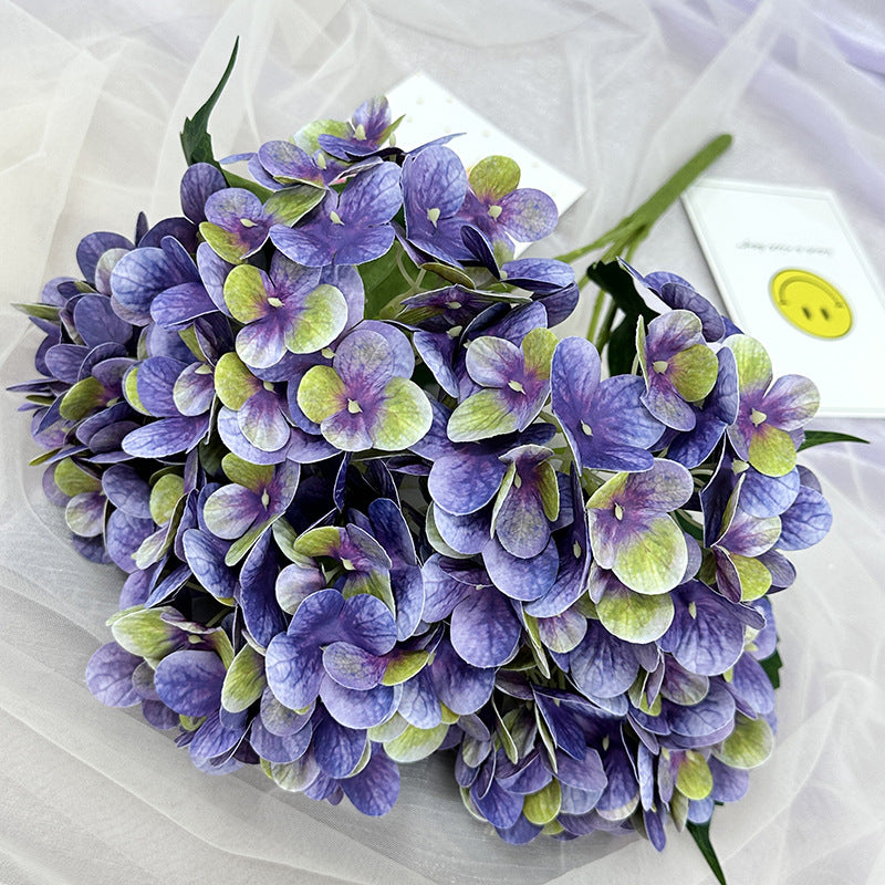 H0015 Hydrangea